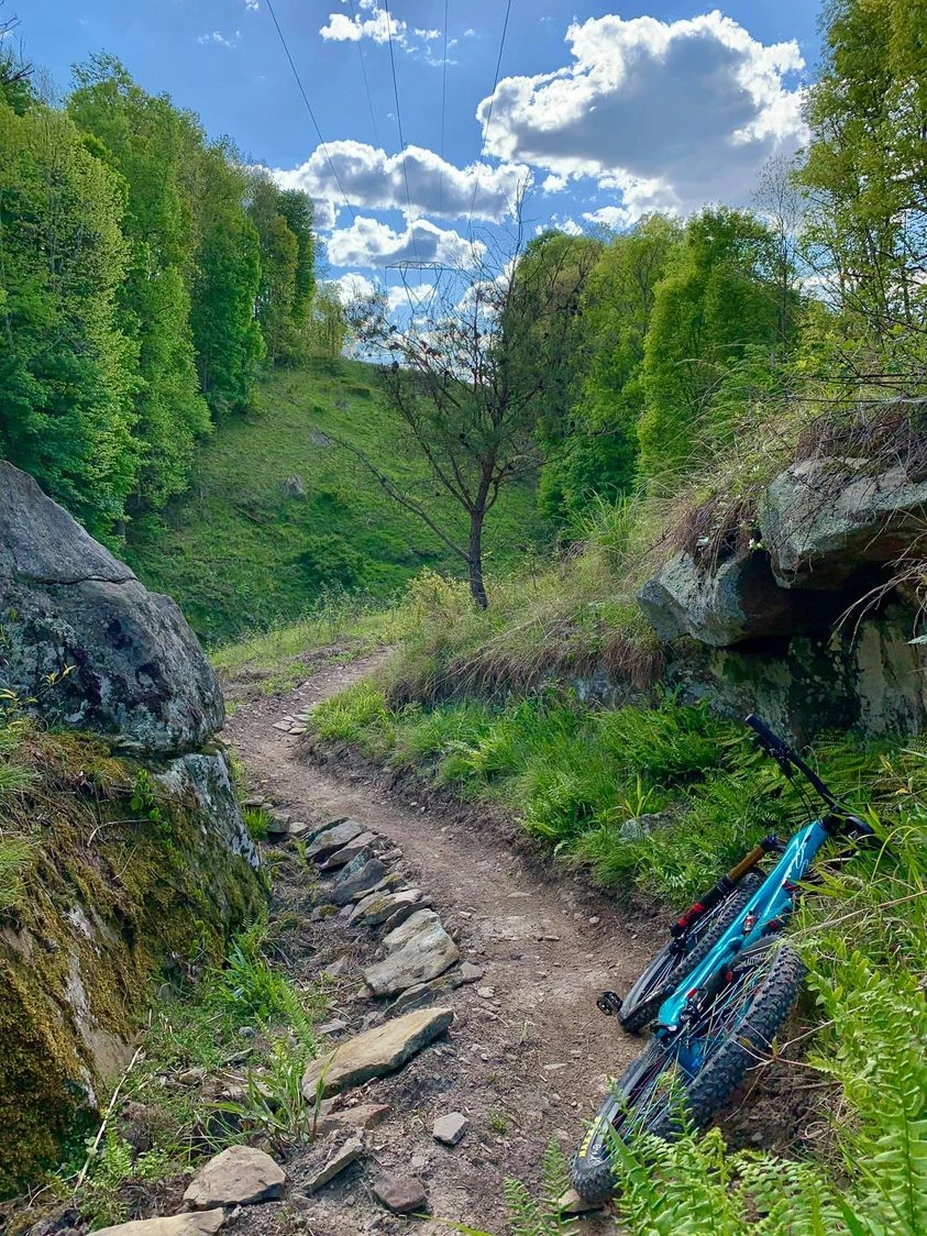 a bicycle rests along a winding path in Mountwood Park