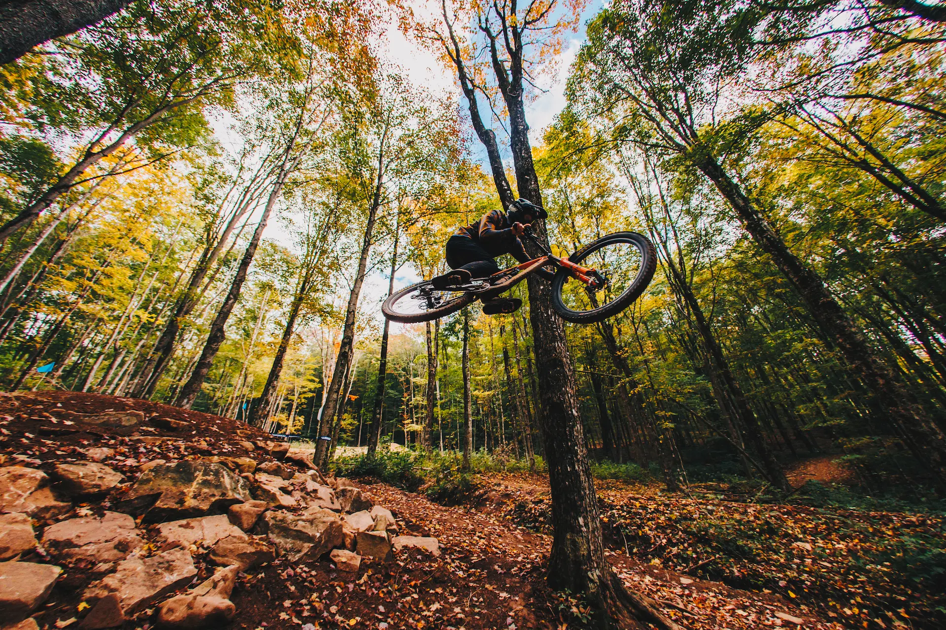 A mountain biker jumps high off a dirt trail, soaring through a forest filled with tall autumn trees and scattered leaves on the ground.