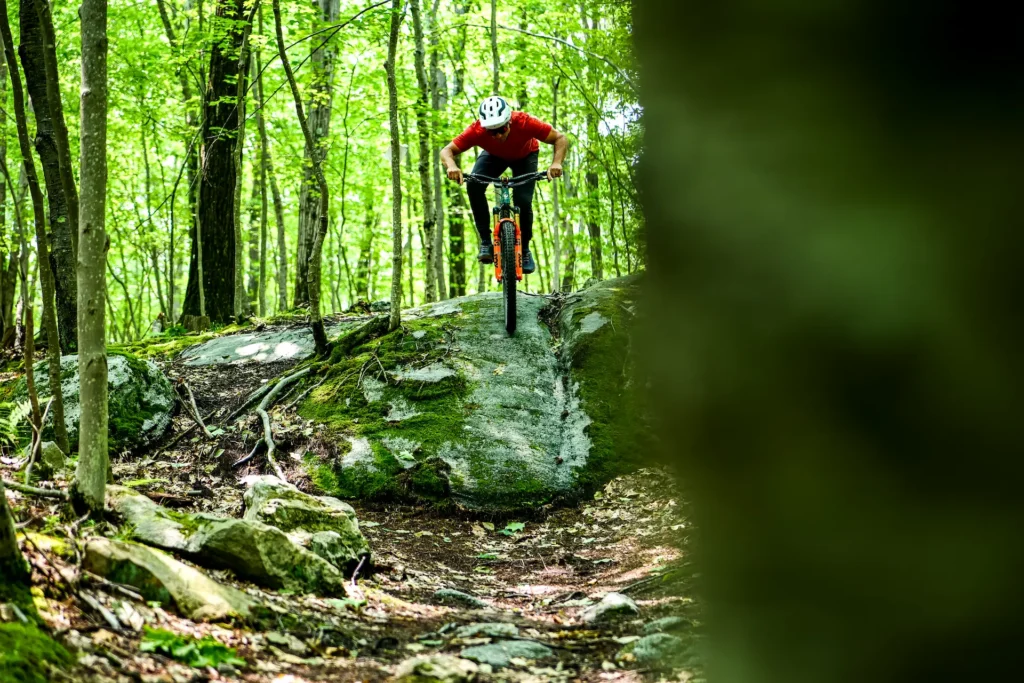 A mountain biker rides down a steep moss-covered rock slab along a rugged forest trail.
