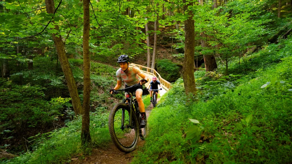 Two mountain bikers ride along a narrow forest trail, surrounded by lush green foliage and passing a wooden bridge in the background.