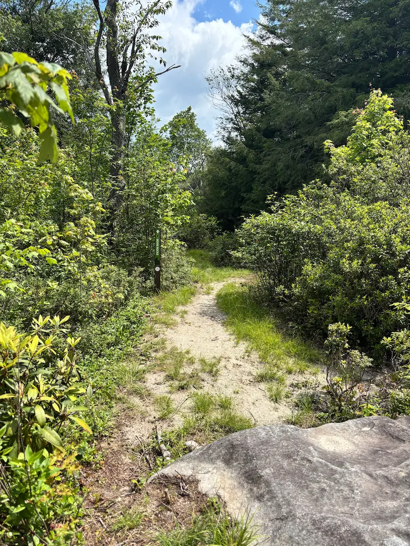 Narrow trail leading to Moon Rocks Trail at the Camp 70 Trail System with blue skies.

