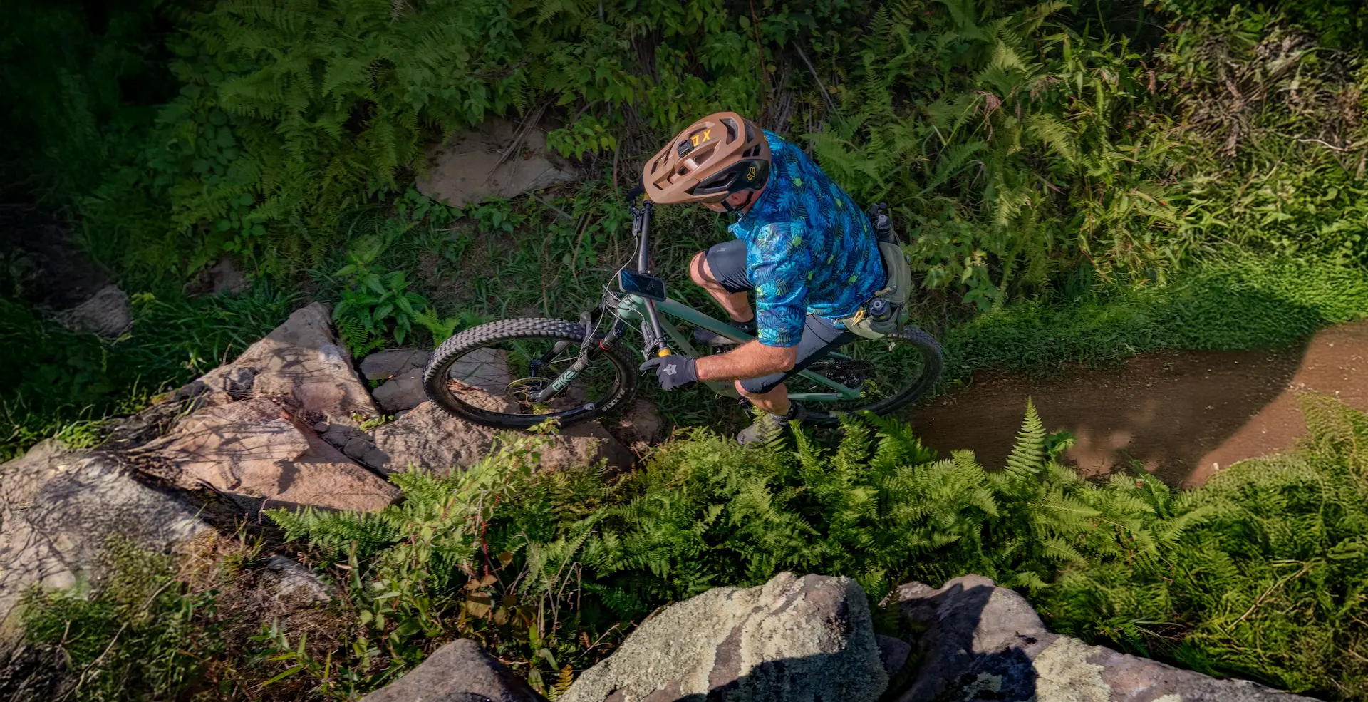 A mountain biker navigates a narrow dirt trail bordered by rocks and dense green ferns, viewed from above.