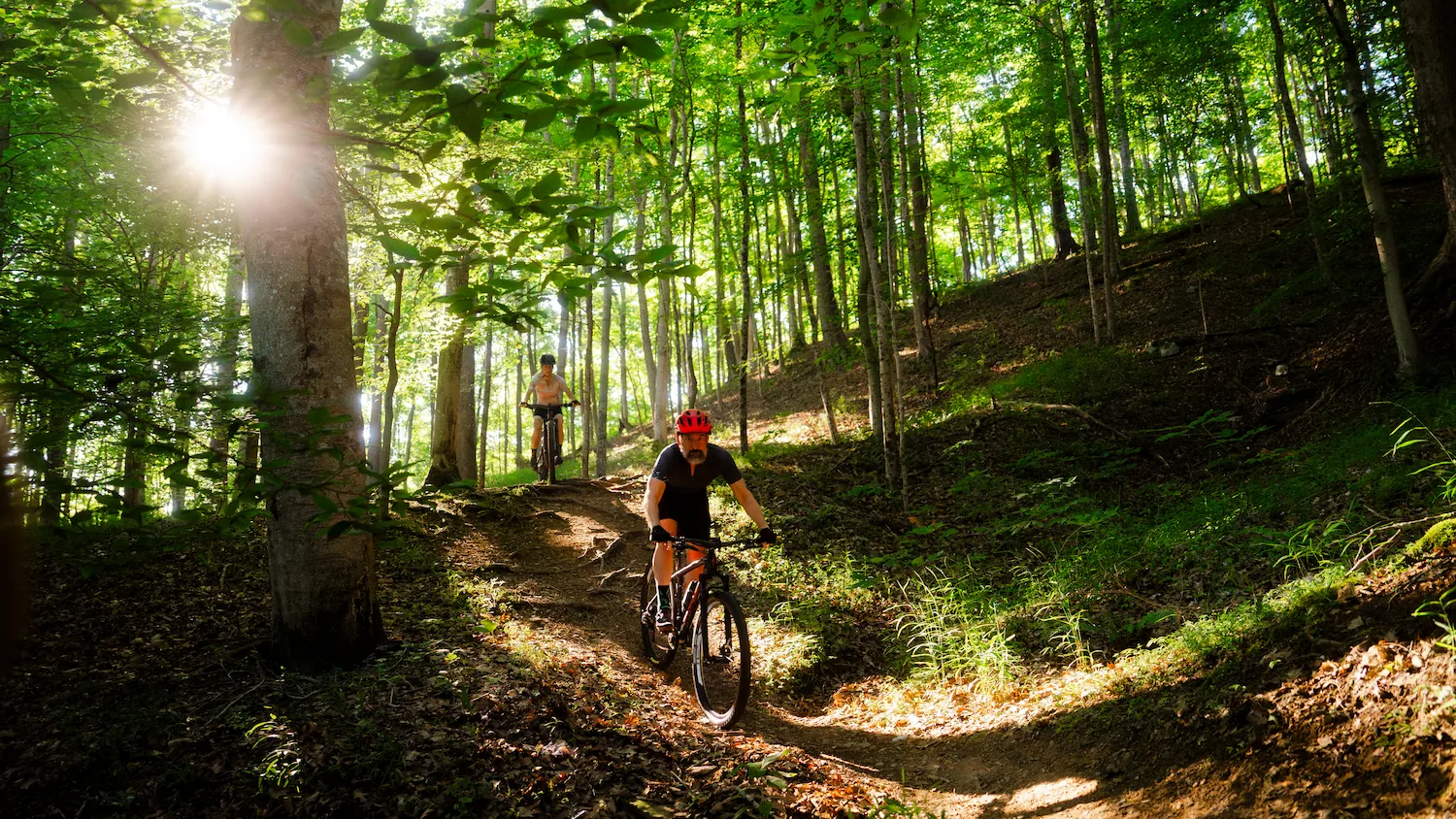 Mountwood Park biking trail with sunshine streaming through trees toward two bike riders.