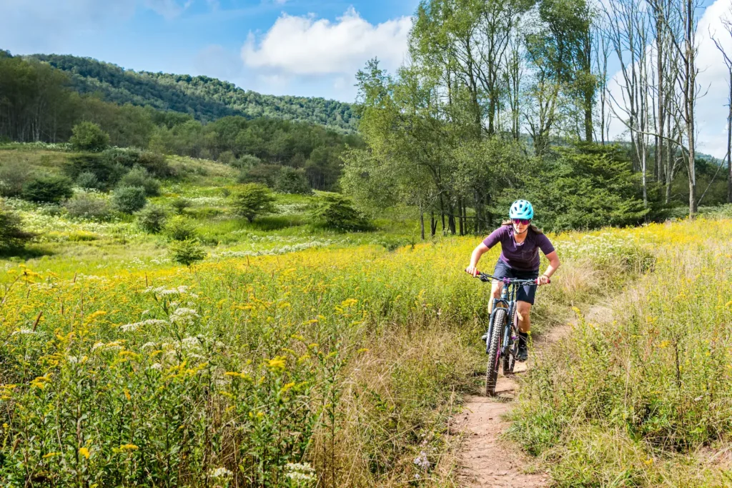 Bike rider racing through flowers with open fields behind her.